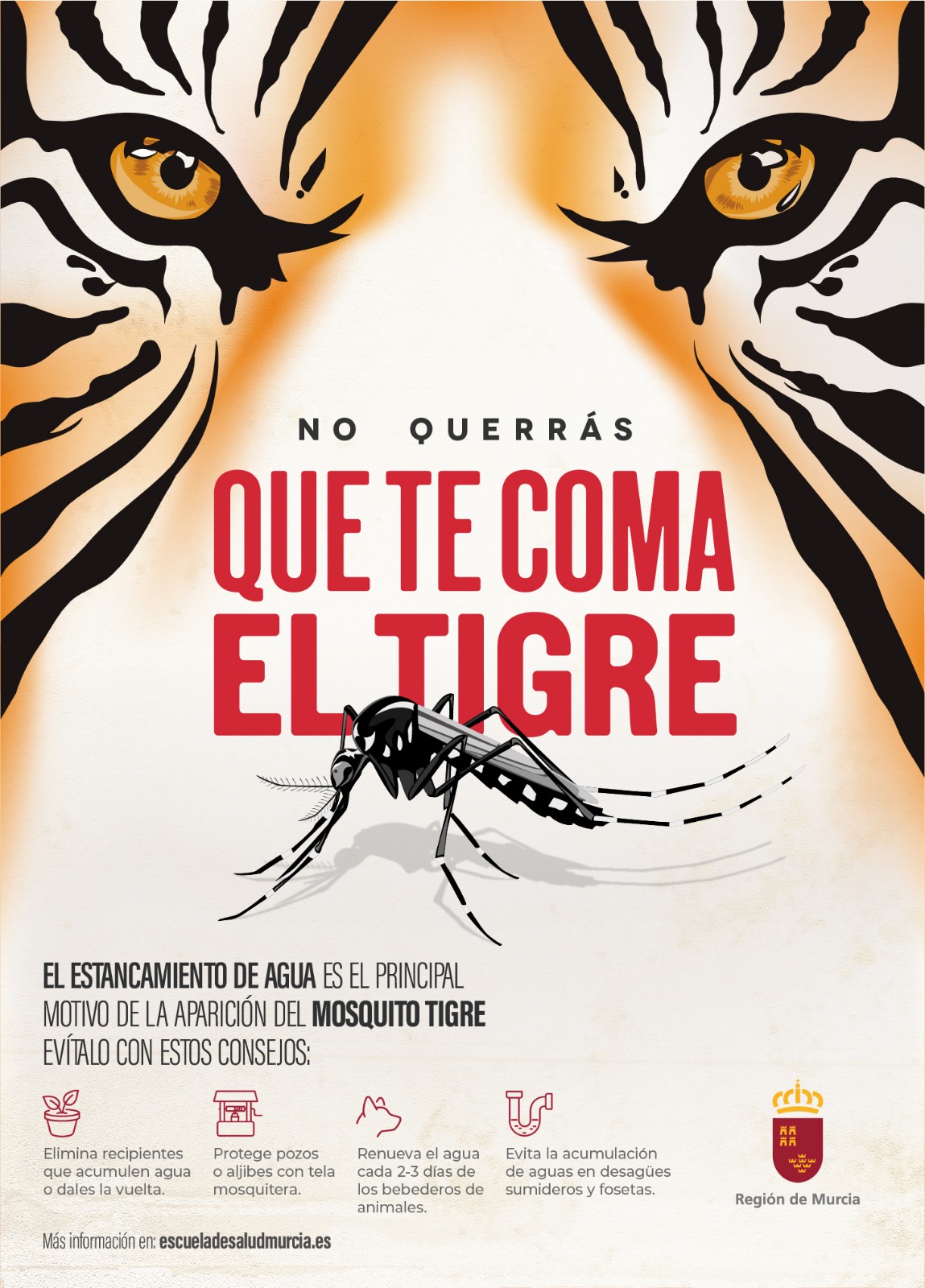 Imagen de la campaña de la Consejería de Salud para evitar la proliferación de mosquitos tigre