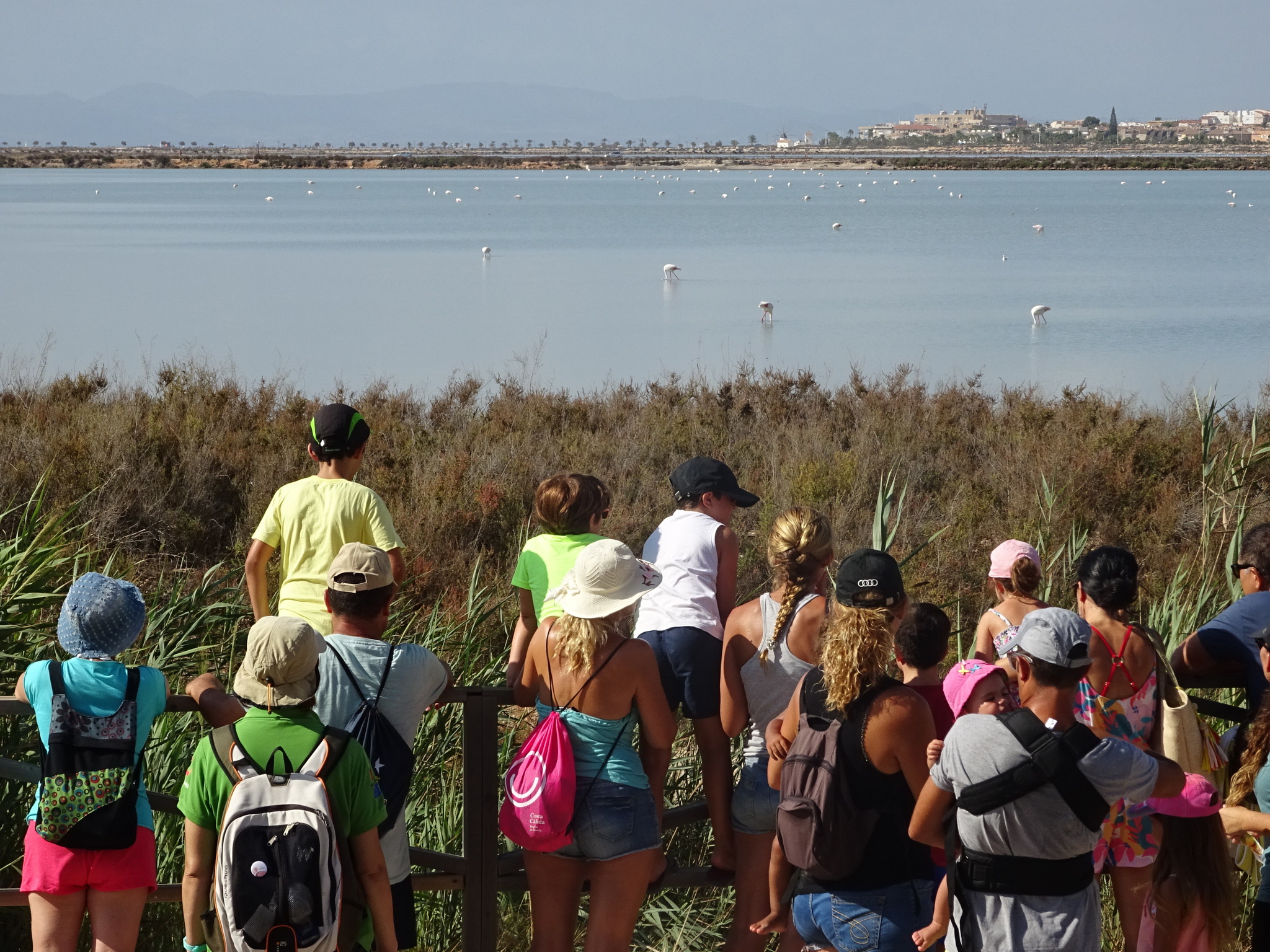Un grupo de niños y adultos observa las aves del parque regional Salinas de San Pedro del Pinatar