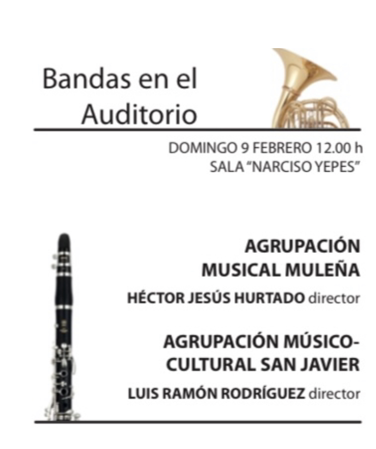 Imagen del cartel del concierto del ciclo 'Bandas en el Auditorio' de este domingo