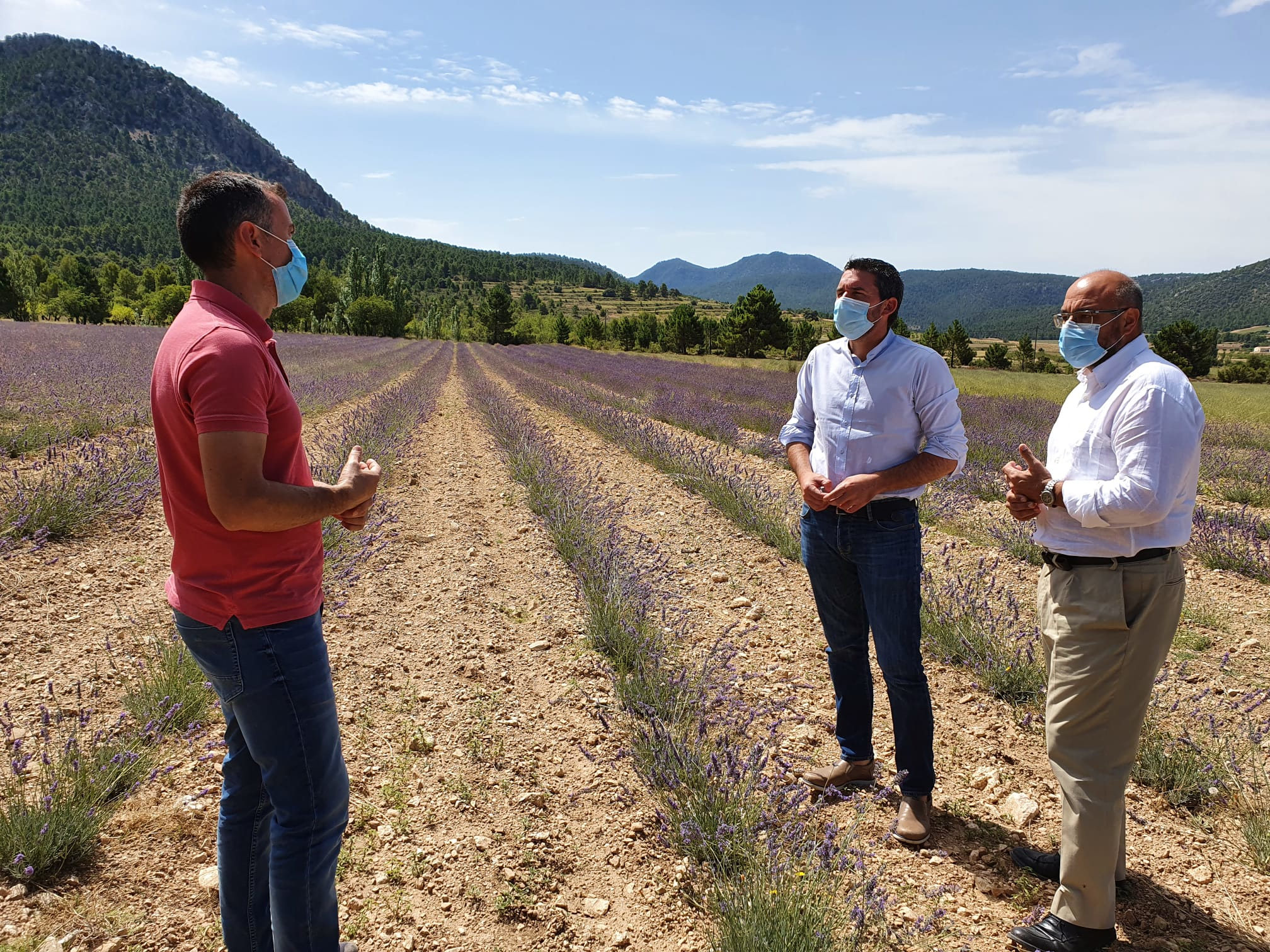 El consejero Antonio Luengo, junto al director del IMIDA, Instituto Murciano de Investigación y Desarrollo Agrario y Alimentario, durante una visita el pasado verano a una plantación de lavanda en Cehegín