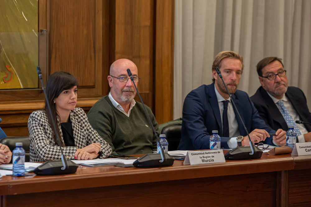 La directora general de Movilidad y Litoral, Marina Munuera, en la reunión de la Comisión de Directores Generales de Transporte del Estado y de las Comunidades Autónomas convocada por el Ministerio para abordar la ejecución de los fondos europeos Next Movilidad