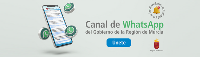 Canal Whatsapp Web CARM