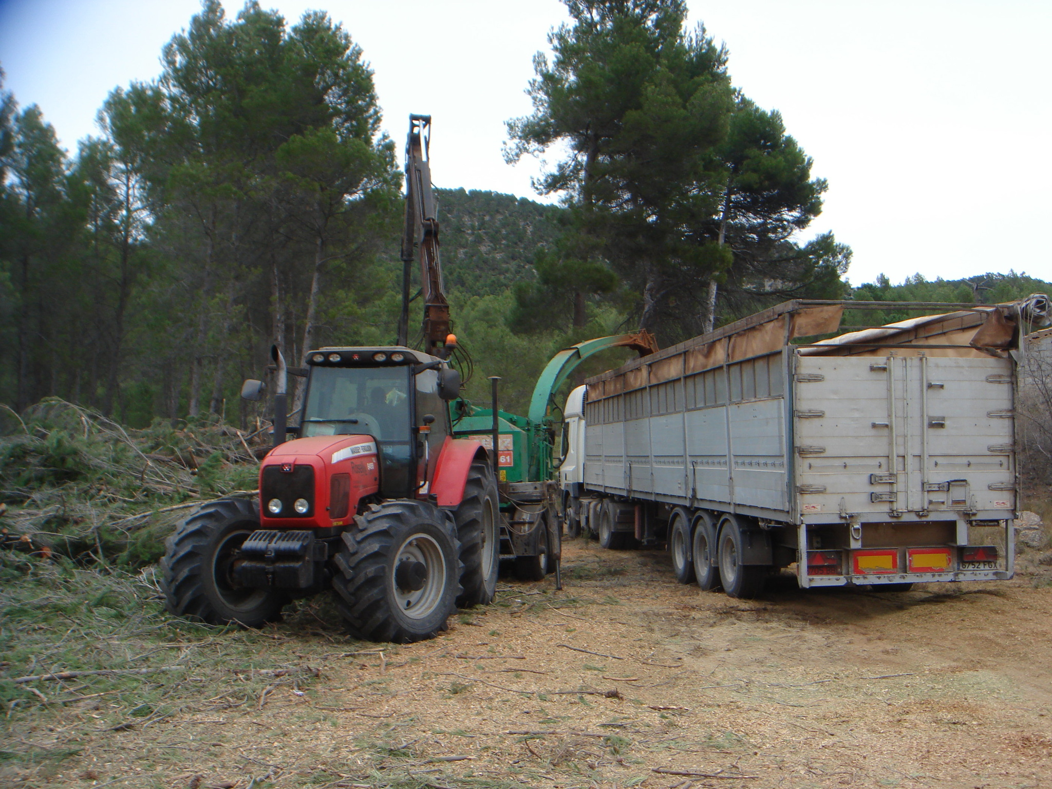 Recogida de biomasa forestal