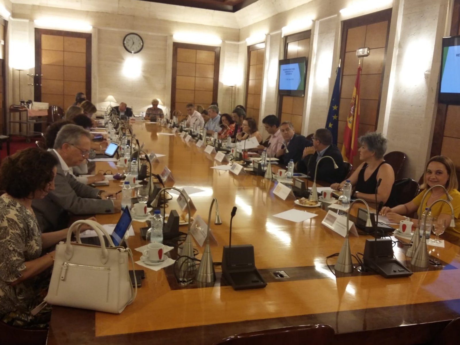 Reunión de los directores generales del Sistema para la Autonomía y Atención a la Dependencia (SAAD)