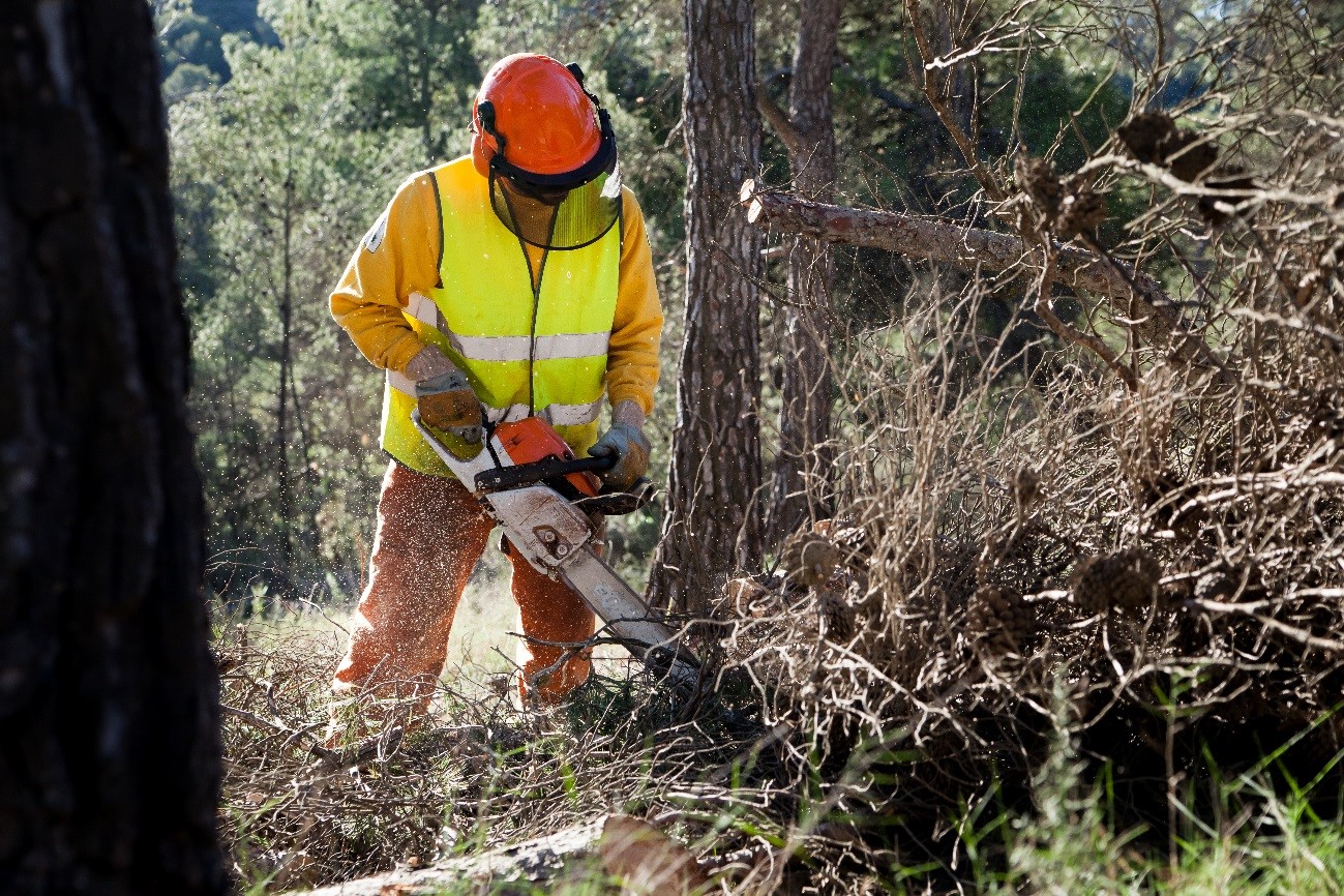 Trabajos preventivos contra incendios forestales