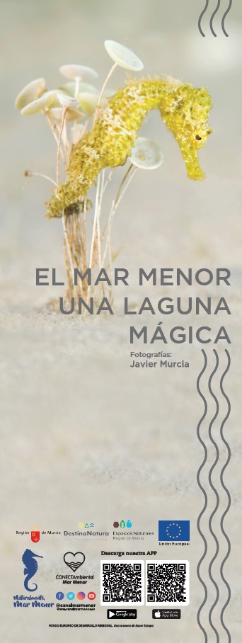Imagen del cartel de la exposición fotográfica de Javier Murcia