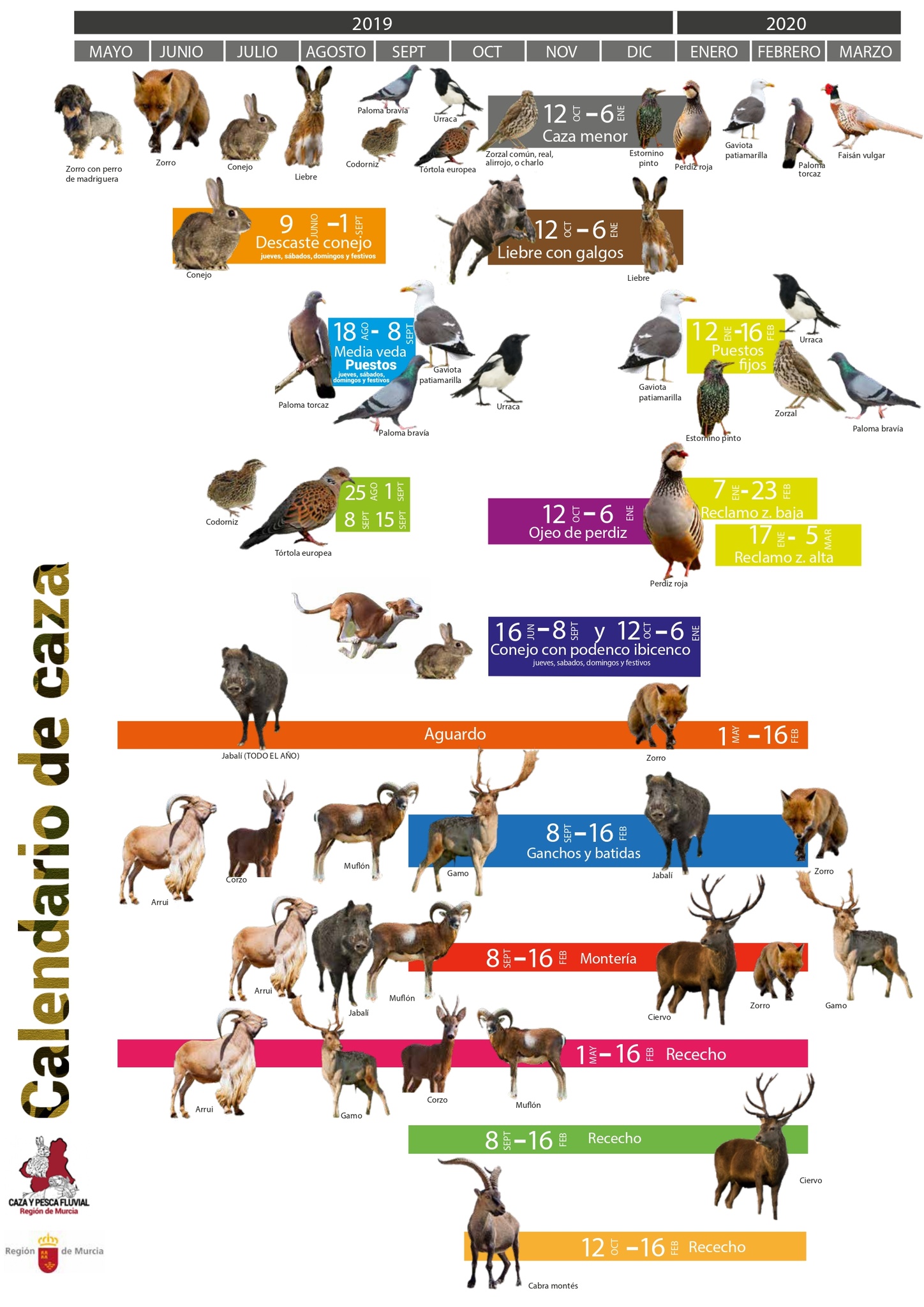 Calendario con los periodos de caza y las distintas especies cazables para la temporada 2019-2020