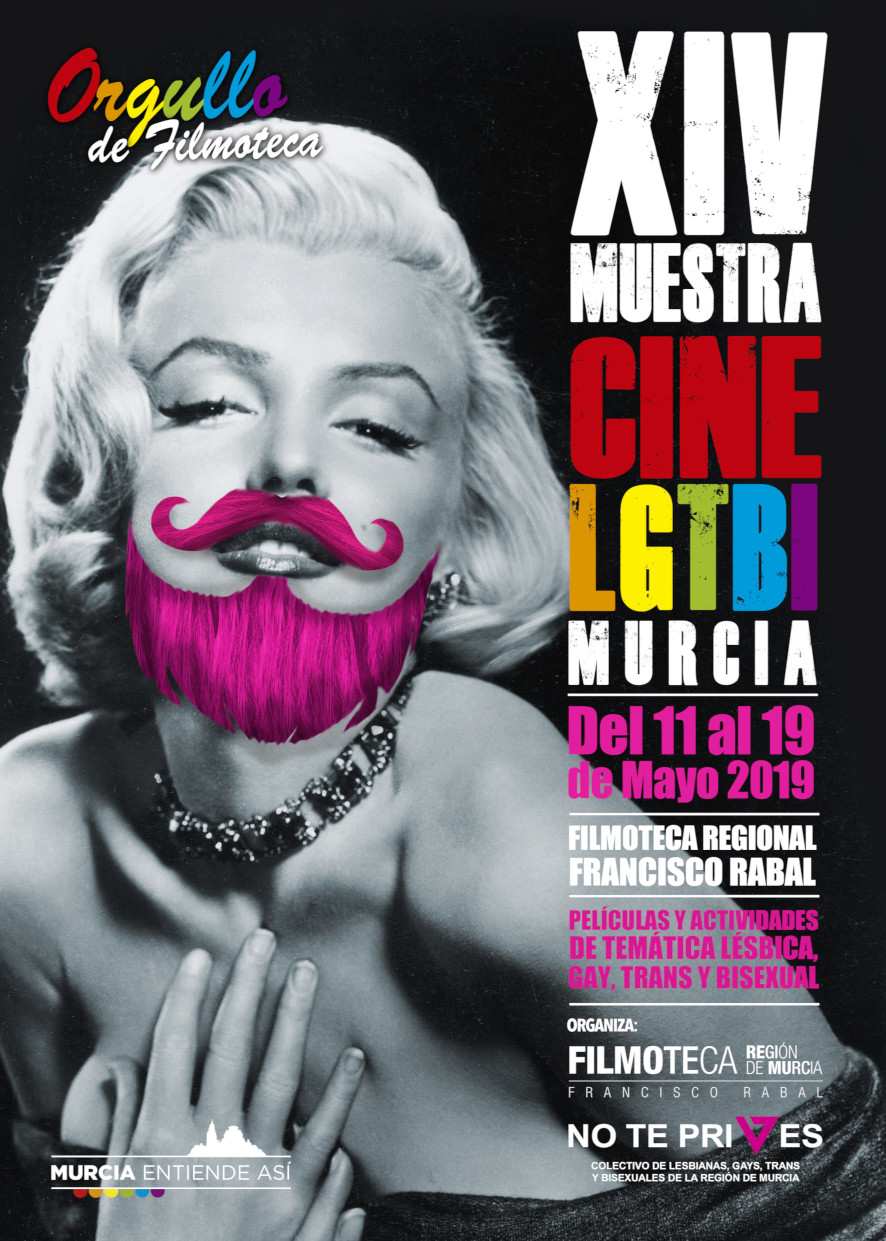 Cartel de la XIV Muestra de cine LGTBI, Lesbianas, Gays, Bisexuales, personas Transgénero e Intersexuales