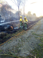 Agentes medioambientales y brigadas forestales refuerzan durante el verano las tareas para la prevención de incendios