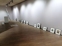 En marcha la instalación en el Archivo regional de la exposición que muestra un gran fondo de imágenes del novelista Benito Pérez Galdós