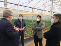 Luengo destaca el liderazgo de la Región de Murcia en innovación del sector agrario con el desarrollo de invernaderos de última generación