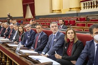 El consejero de Transparencia, Seguridad y Emergencias asiste en Madrid al pleno del Consejo Nacional de Protección Civil