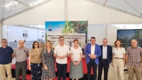El consejero Antonio Luengo durante la presentación de cuatro nuevas variedades de uva Monastrell adaptadas a los efectos del cambio climático
