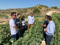 El consejero Antonio Luengo y el alcalde de Abanilla, José Antonio Blasco, durante su visita a la plantación de okra.
