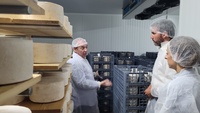 El consejero Antonio Luengo destaca el valor añadido que representan los quesos de Denominación de Origen Protegida con certificación ecológica y producción propia de leche