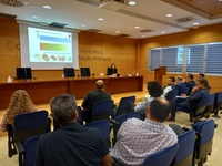 La directora general de Agricultura, Remedios García, presidió la reunión de la Mesa del Cítrico de la Región