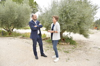 El director del INFO, Joaquín Gómez, visitó la almazara yeclana Deortegas