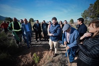 López Miras preside el acto de inauguración del proyecto 'Bosque Disfrimur' para la recuperación de suelo forestal en la sierra del Molino de Calasparra (2)