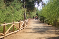 Unos jóvenes caminan por una vía verde de la Región en una imagen de archivo.