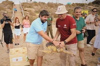 El jefe del Ejecutivo regional en funciones, Fernando López Miras, participa en la liberación de un ejemplar de tortuga boba/2