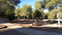 Zona del Área Recreativa del Valle Perdido en la que se construirán tres nuevas mesas más tipo picnic.