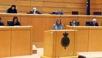 La consejera de Educación y Universidades, María Isabel Sánchez-Mora, comparece desde la tribuna del Senado en la comisión de las comunidades autónomas