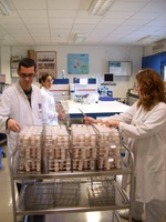 La imagen muestra al personal de laboratorio analizando muestras
