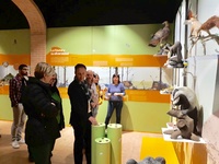 Imagen de la visita del consejero de Turismo, Cultura y Medio Ambiente, Javier Celdrán, a la nueva sala de interpretación del Centro de Visitantes Ricardo Codorníu (II)