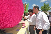 El presidente de la Comunidad asiste a los actos organizados con motivo de las fiestas de San Isidro en Yecla (2)