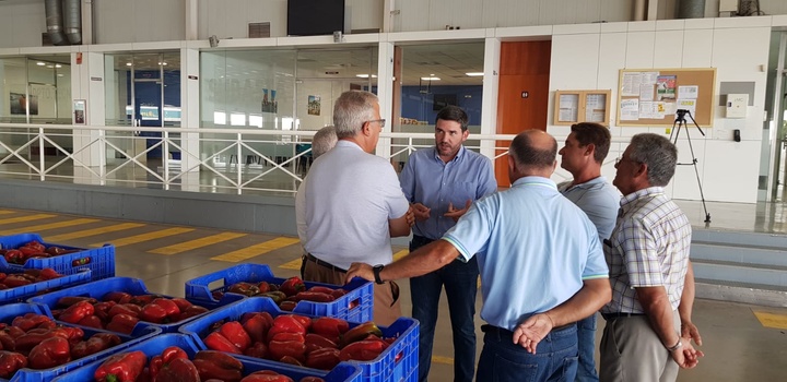 Antonio Luengo visita las instalaciones de la empresa hortofrutícola Soltir