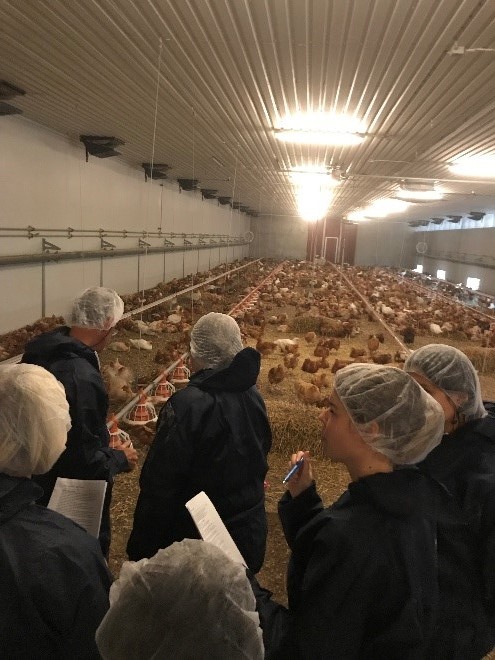 Un Técnico de Formación del CIFEA de Lorca ha Participado en el "Better Training For A Safer Food: Animal Welfare In Poultry Production (Chickens Kept For Meat Production) I Edition Mapama" 3