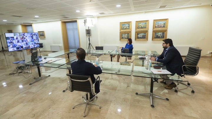 Reunión telemática con los 45 alcaldes de la Región (2)