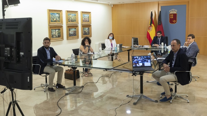 Reunión telemática con los 45 alcaldes de la Región (3)
