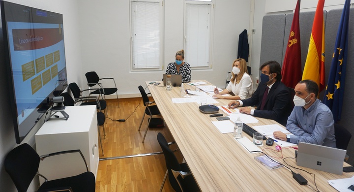 La Comisión de Vigilancia para el Empleo, presidida por el consejero Miguel Motas, se reunió hoy de forma telemática
