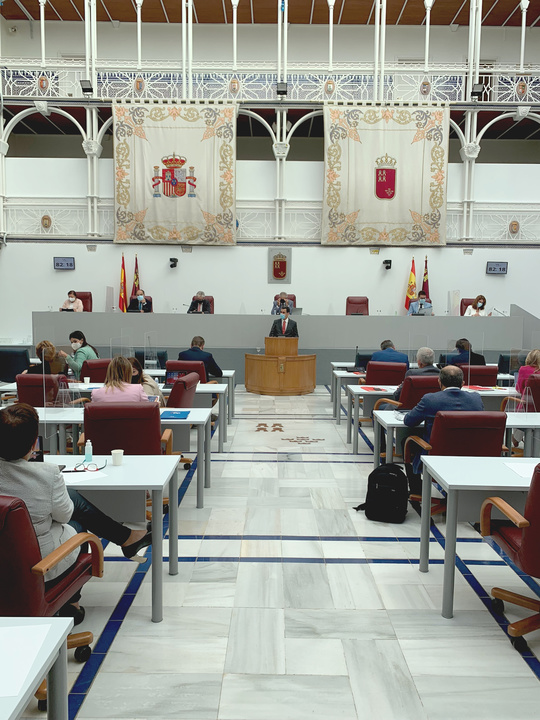 El consejero de Fomento e Infraestructuras, José Ramón Díez de Revenga, durante el debate monográfico organizado por la Asamblea Regional sobre las medidas para reducir los riesgos de inundación en la Región de Murcia (2)