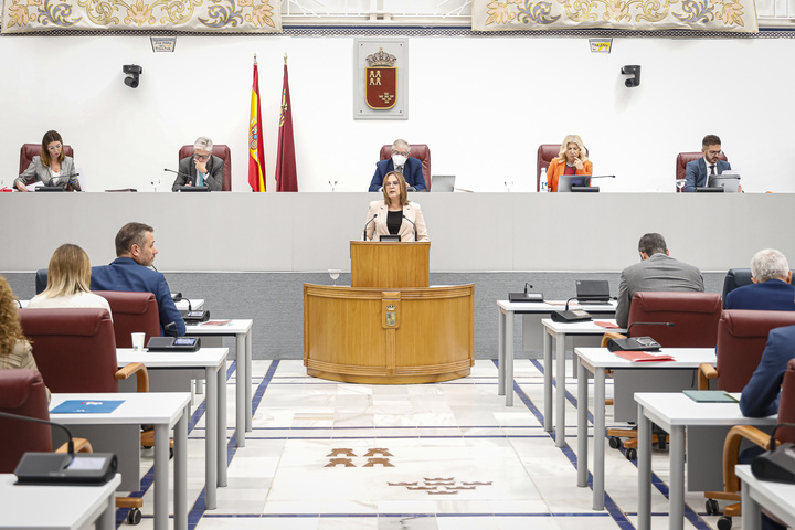 La vicepresidenta Isabel Franco expone la Ley de Emergencias en la Asamblea Regional