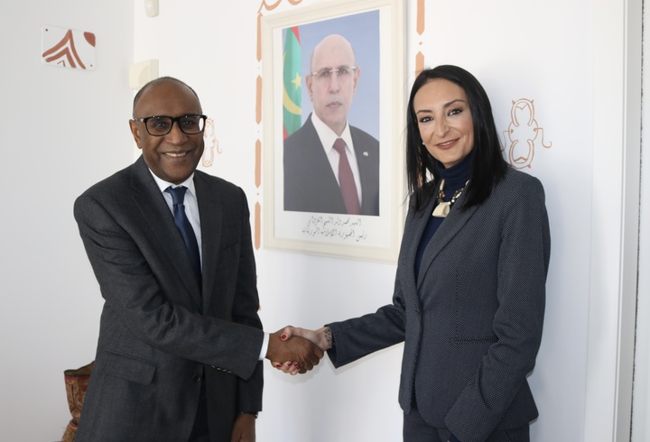 La consejera de Empresa, Economía Social y Autónomos, Valle Miguélez, durante la reunión con el embajador de Mauritania en España, Kane Boubakar (II)