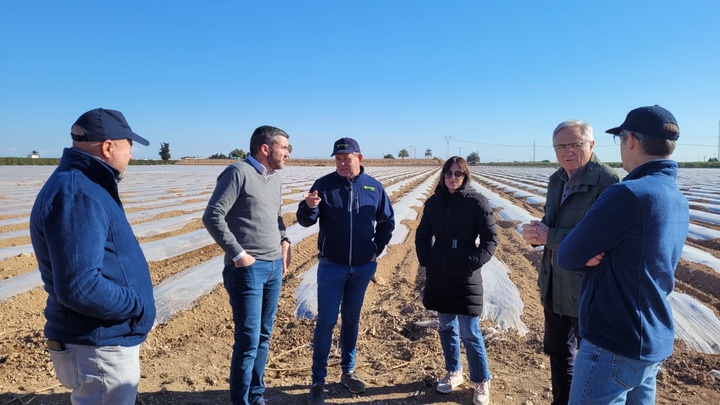 El consejero Antonio Luengo, durante su visita a la finca de melones de uno de los socios de la Cooperativa Gregal.