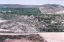 Antigua zona de cereales repoblada y con vistas al humedal en Lorca