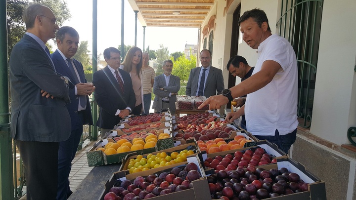 El consejero visita las instalaciones del IMIDA (Instituto Murciano de Investigación y Desarrollo Agrario y Alimentario) y conoce algunos trabajos de investigación que se llevan a cabo sobre fruta de hueso, seda o aromáticas, entre otros