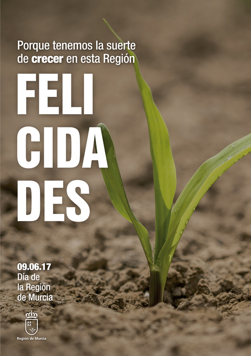 Cartel Día de la Región de Murcia (2)