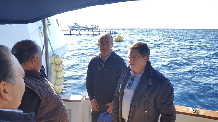 El consejero de Agua, Agricultura, Ganadería y Pesca visita la granja de atunes en el Gorguel de Cartagena (2)