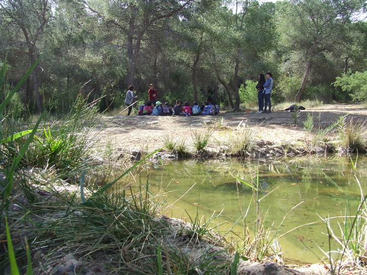 Imagen de una de las actividades de educación y sensibilización ambiental desarrolladas el pasado año para conmemorar el Día Europeo de los Parques