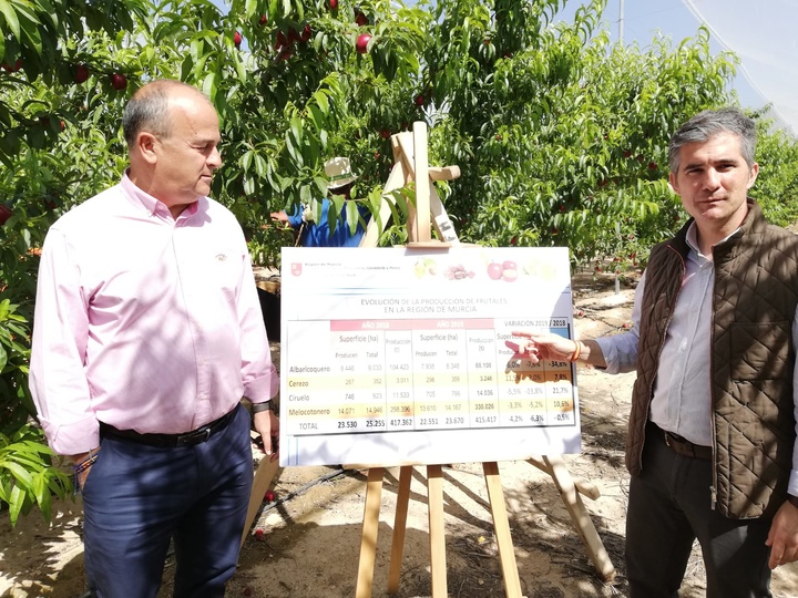 El consejero, junto al director general de Agricultura, presenta el aforo de fruta de hueso para la campaña 2019