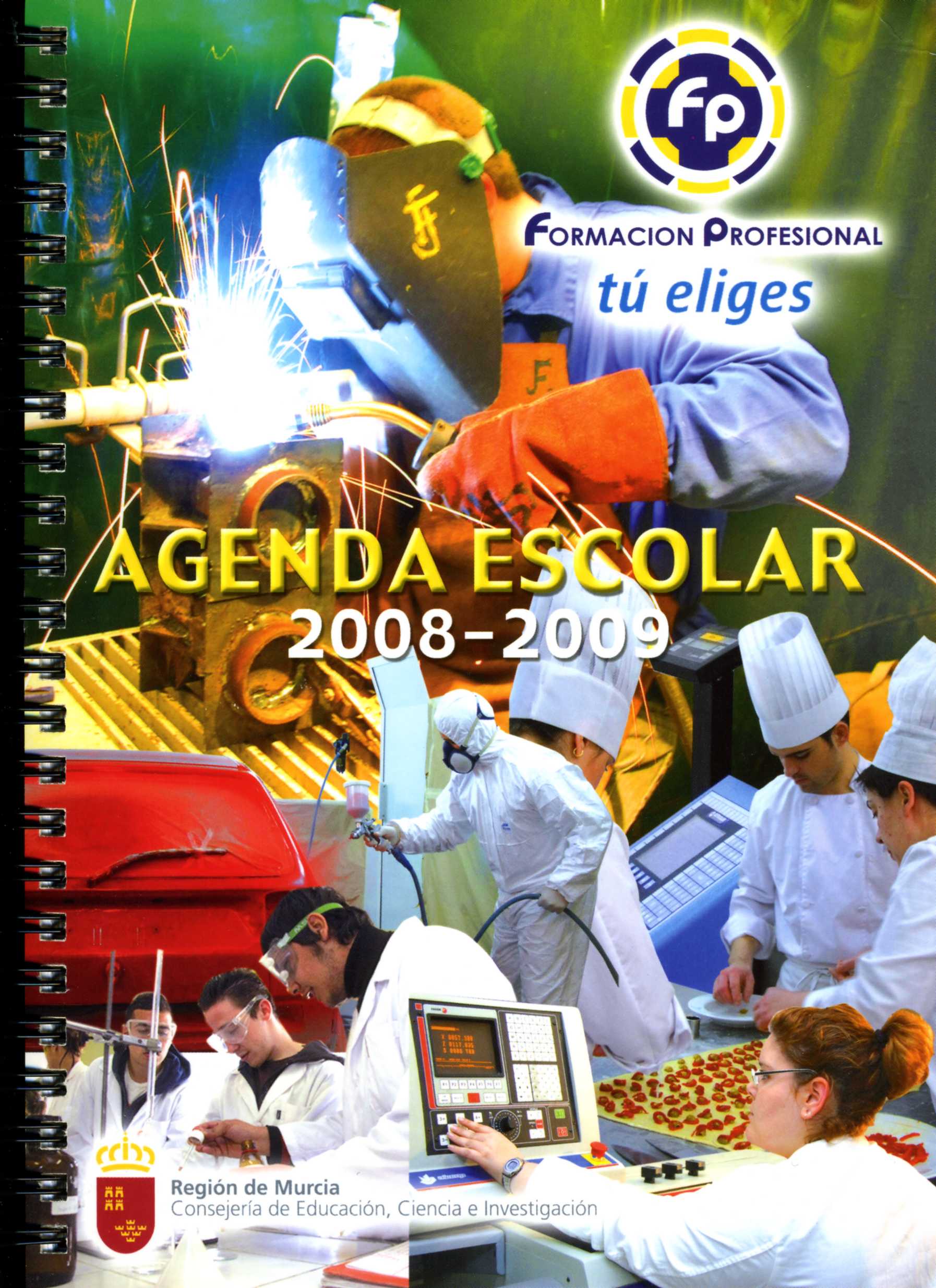 Portada de "Agenda escolar, 2008-2009 : Formación Profesional tú eliges"