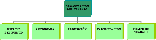 Organización del trabajo