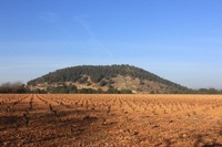 Imagen de un cultivo de secano.