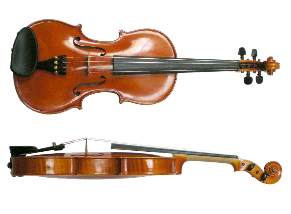 Violín