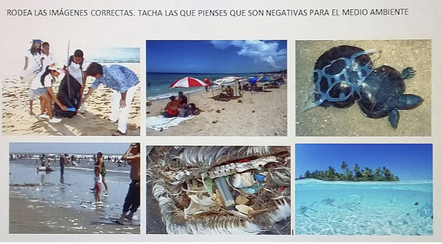 imagen_12