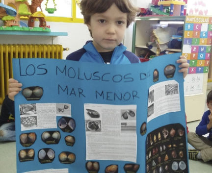 imagen_20